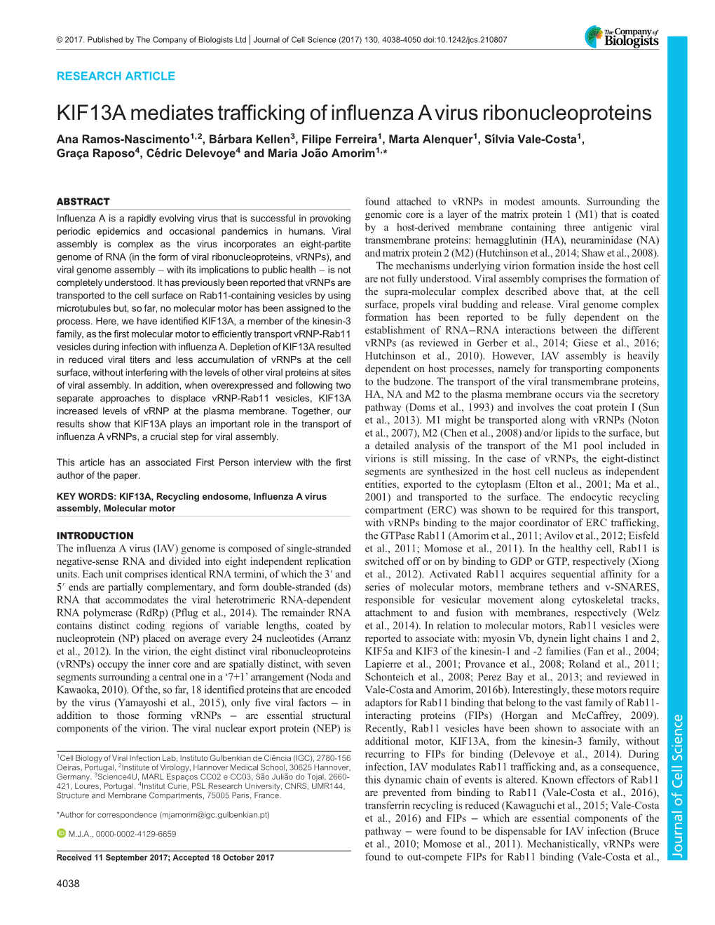 KIF13A Mediates Trafficking of Influenza a Virus Ribonucleoproteins