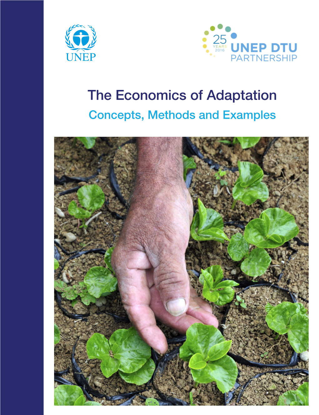 The Economics of Adaptation Concepts, Methods and Examples