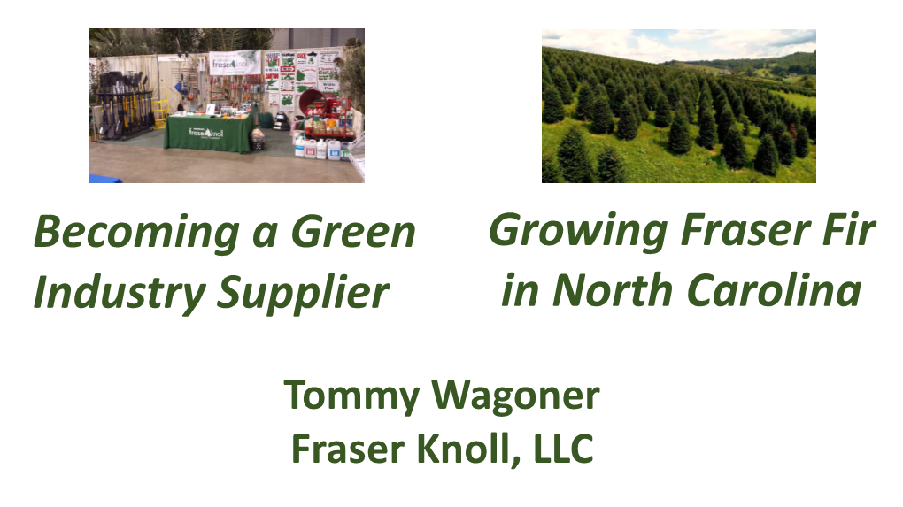 Becoming a Green Industry Supplier Growing Fraser Fir in North Carolina