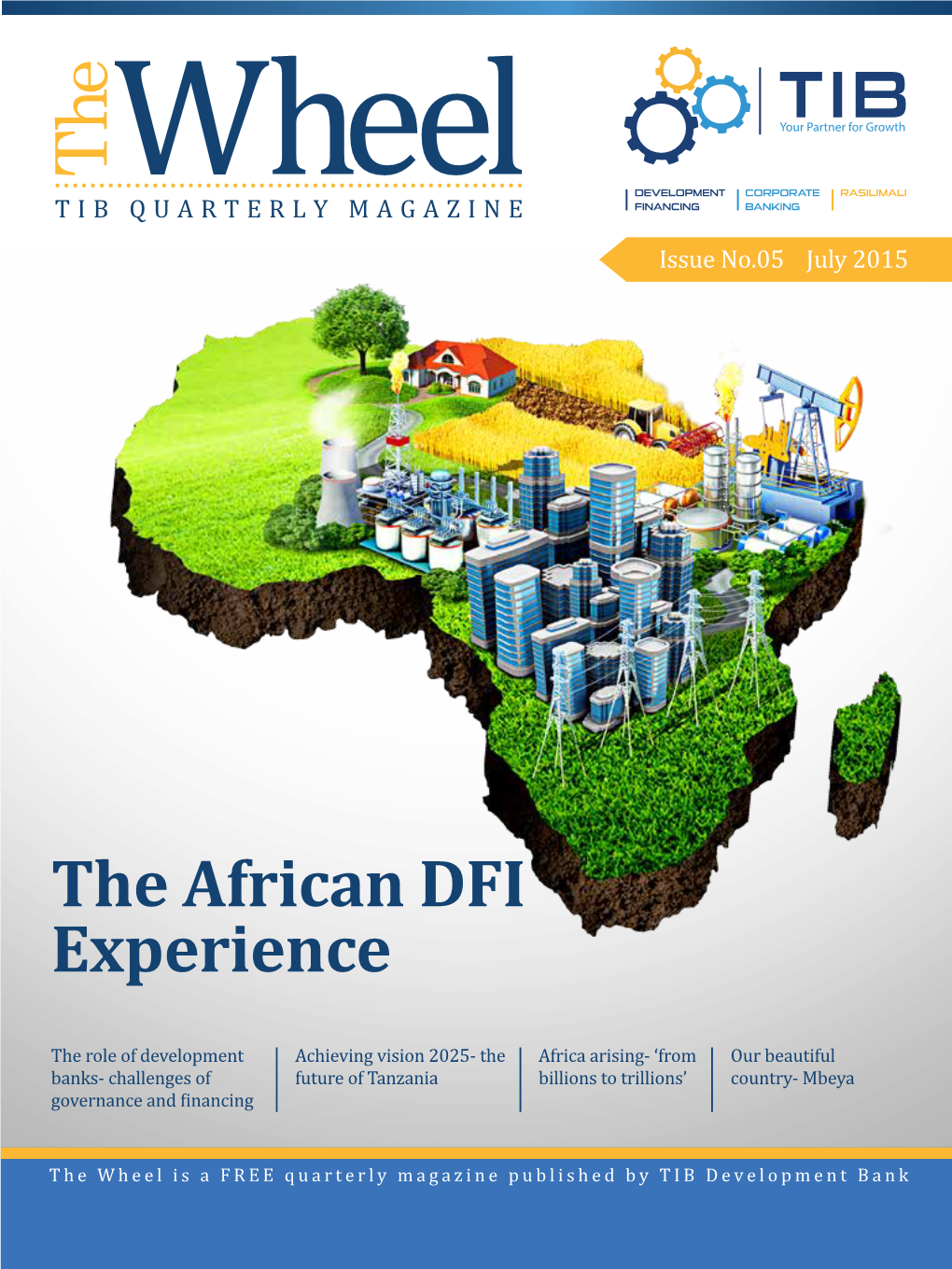 The African DFI Experience