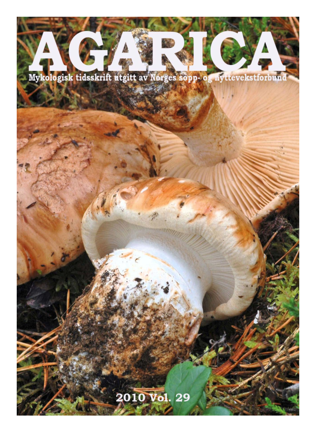 Innholdsfortegnelse AGARICA Vol. 29