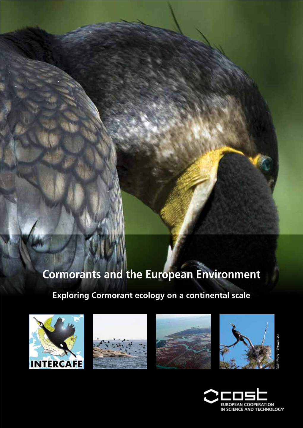 Cormorants and the European Environment