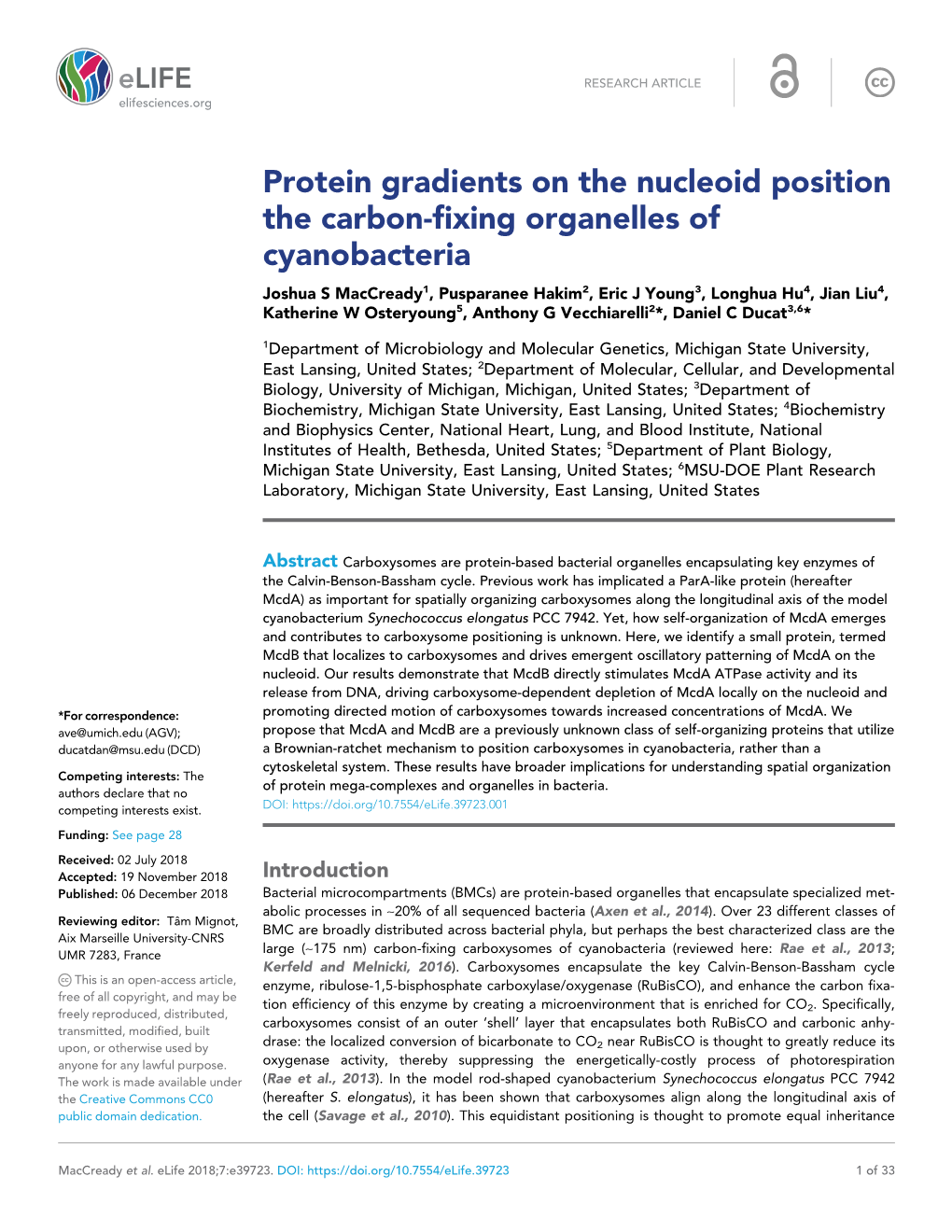 Protein Gradients on the Nucleoid Position the Carbon-Fixing