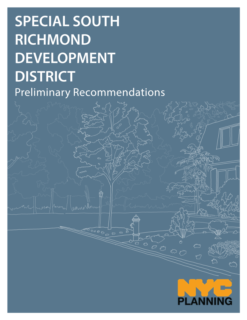 SPECIAL SOUTH RICHMOND DEVELOPMENT DISTRICT Preliminary Recommendations