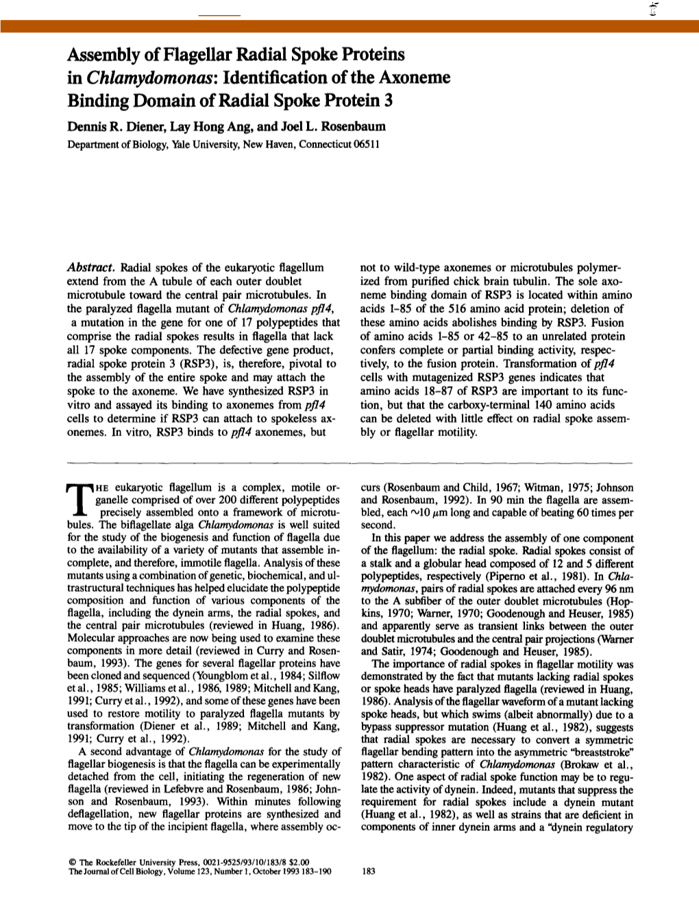 Assembly of Flagellar Radial Spoke Proteins in Chlamydomonas: Identification of the Axoneme Binding Domain of Radial Spoke Protein 3 Dennis R