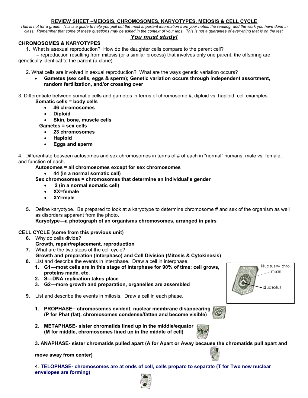 Review Sheet Dna & Cell Division