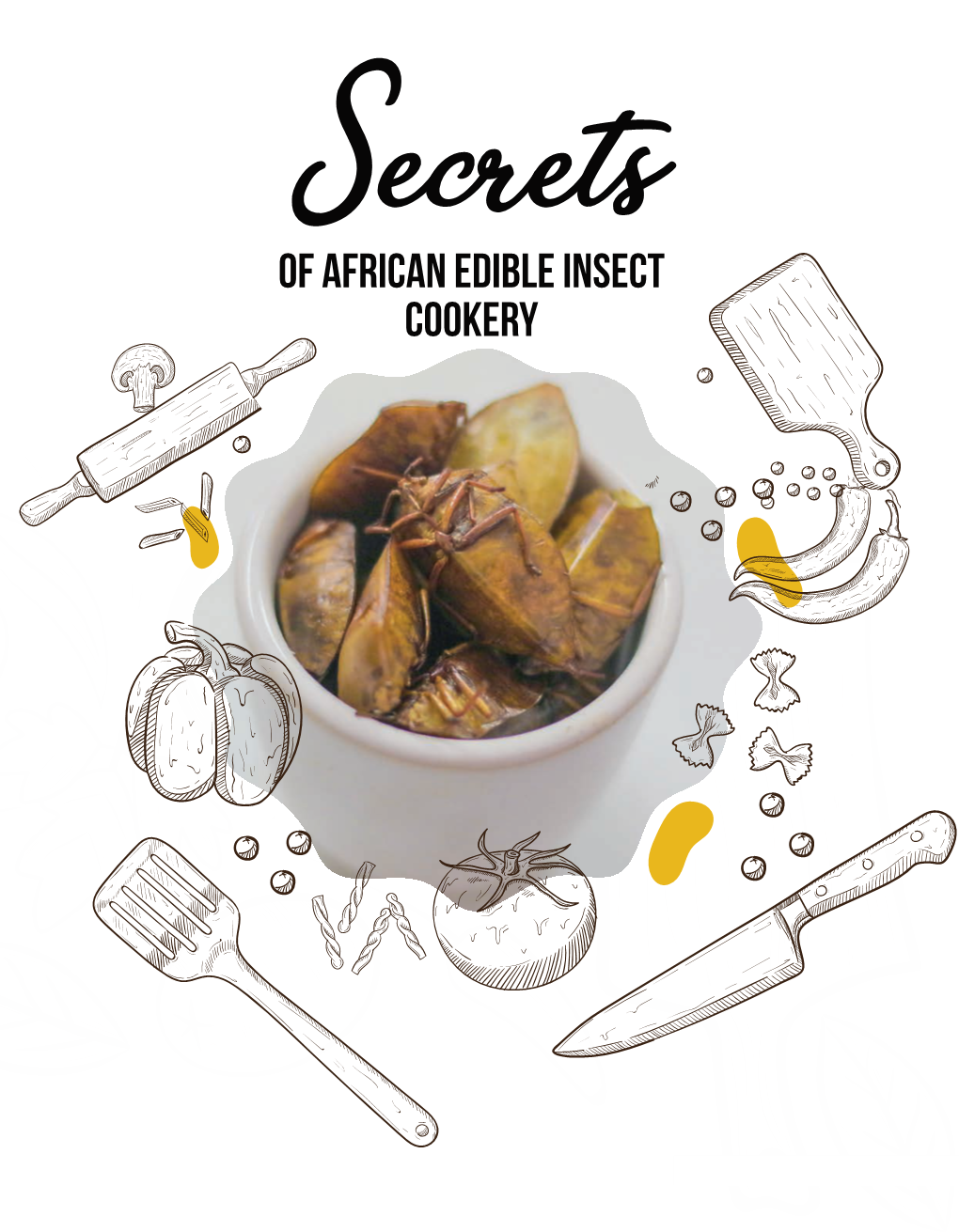 Secrets of African Edible Insect Cookery