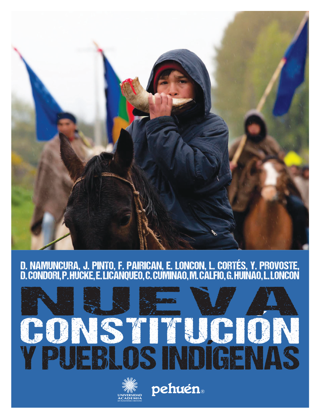 Libro "Nueva Constitución Y Pueblos Indígenas"