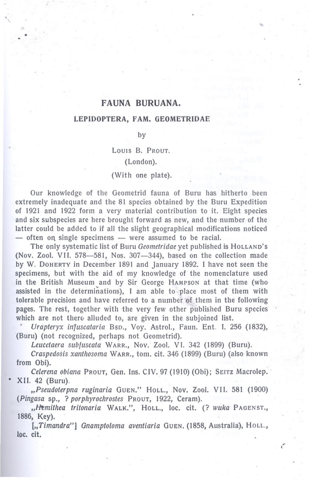 FAUNA BURUANA. by 1886, Key)