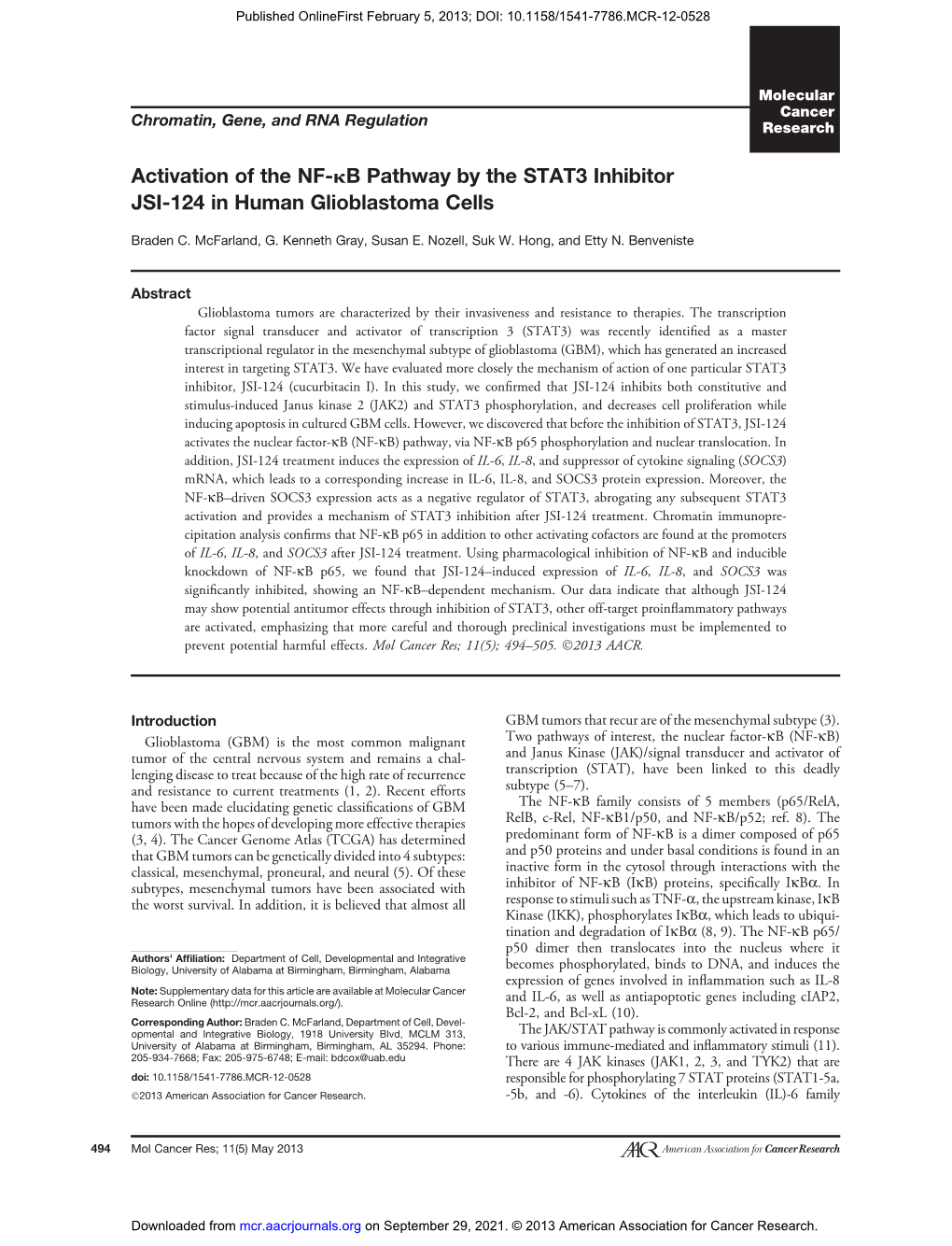 Activation of the NF-Kb Pathway by the STAT3 Inhibitor JSI-124 in Human Glioblastoma Cells