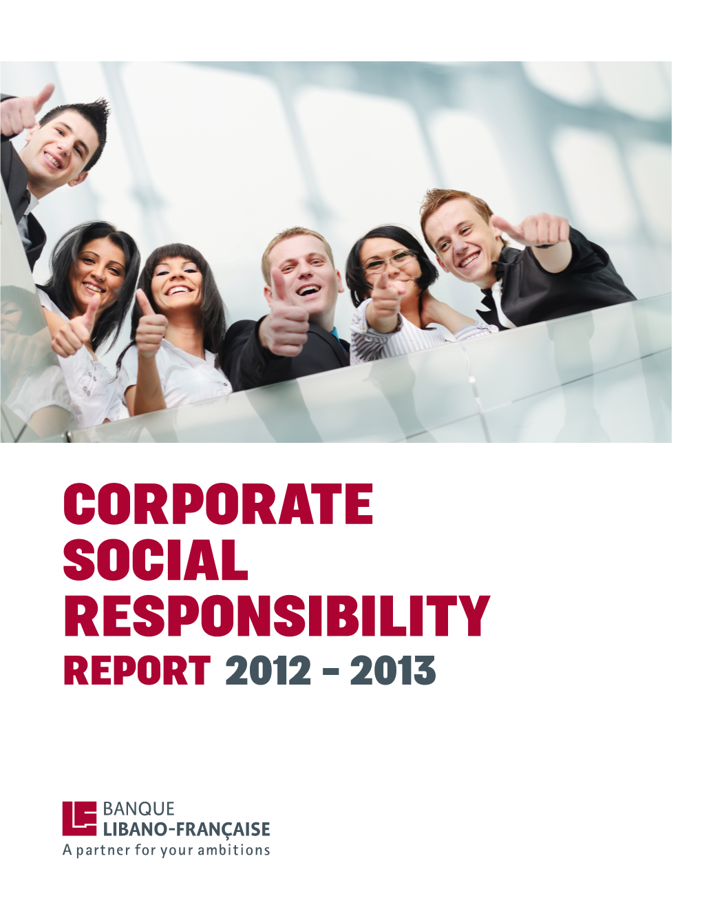 2012-2013 CSR Report
