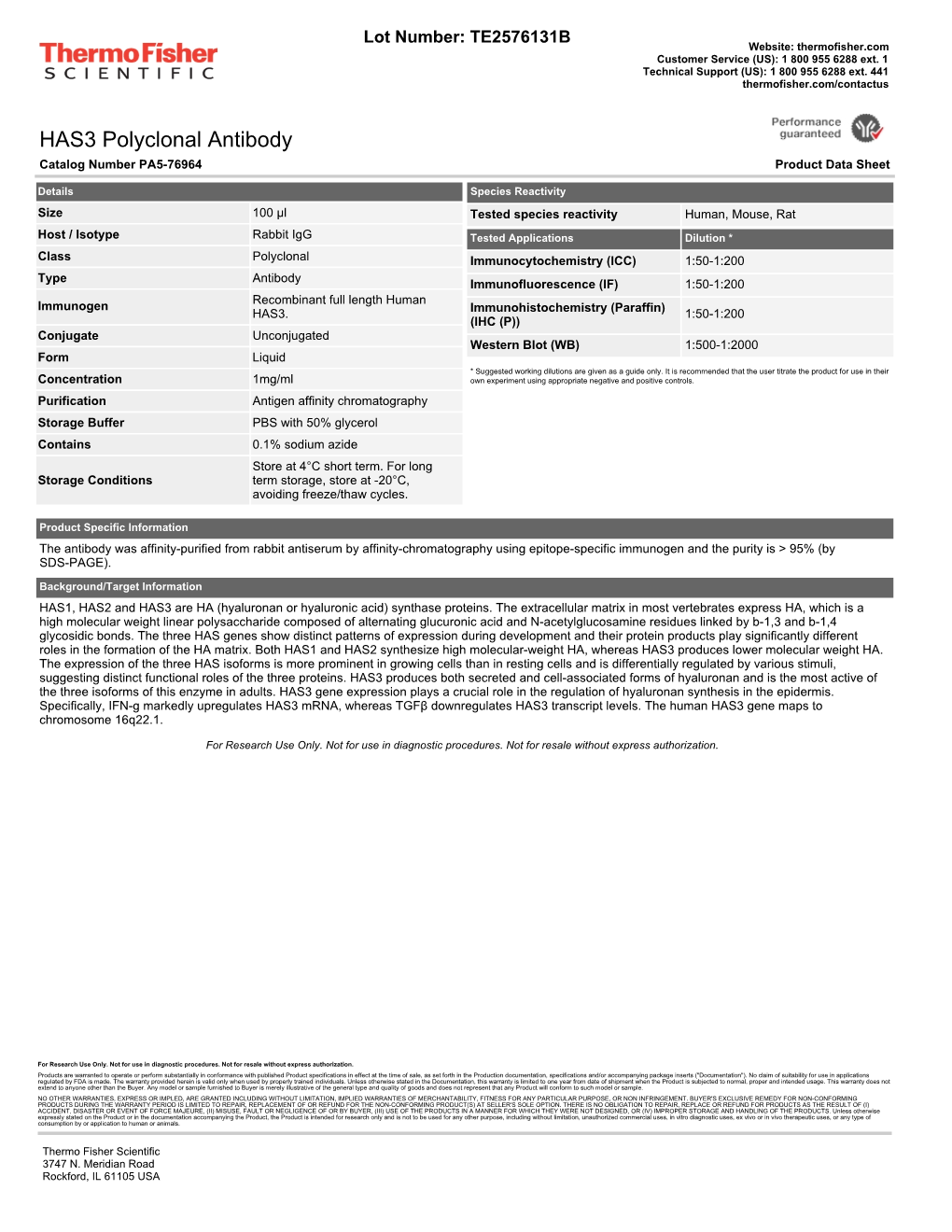 HAS3 Polyclonal Antibody Catalog Number PA5-76964 Product Data Sheet