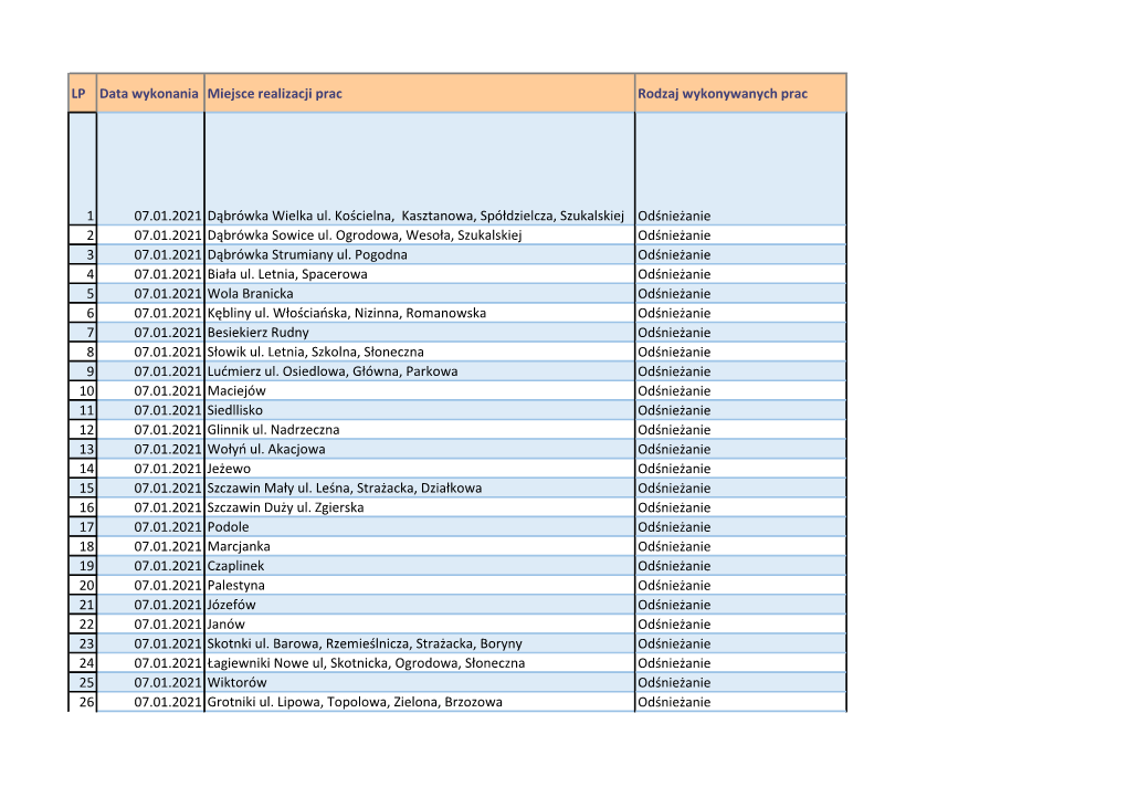 LP Data Wykonania Miejsce Realizacji Prac Rodzaj Wykonywanych Prac