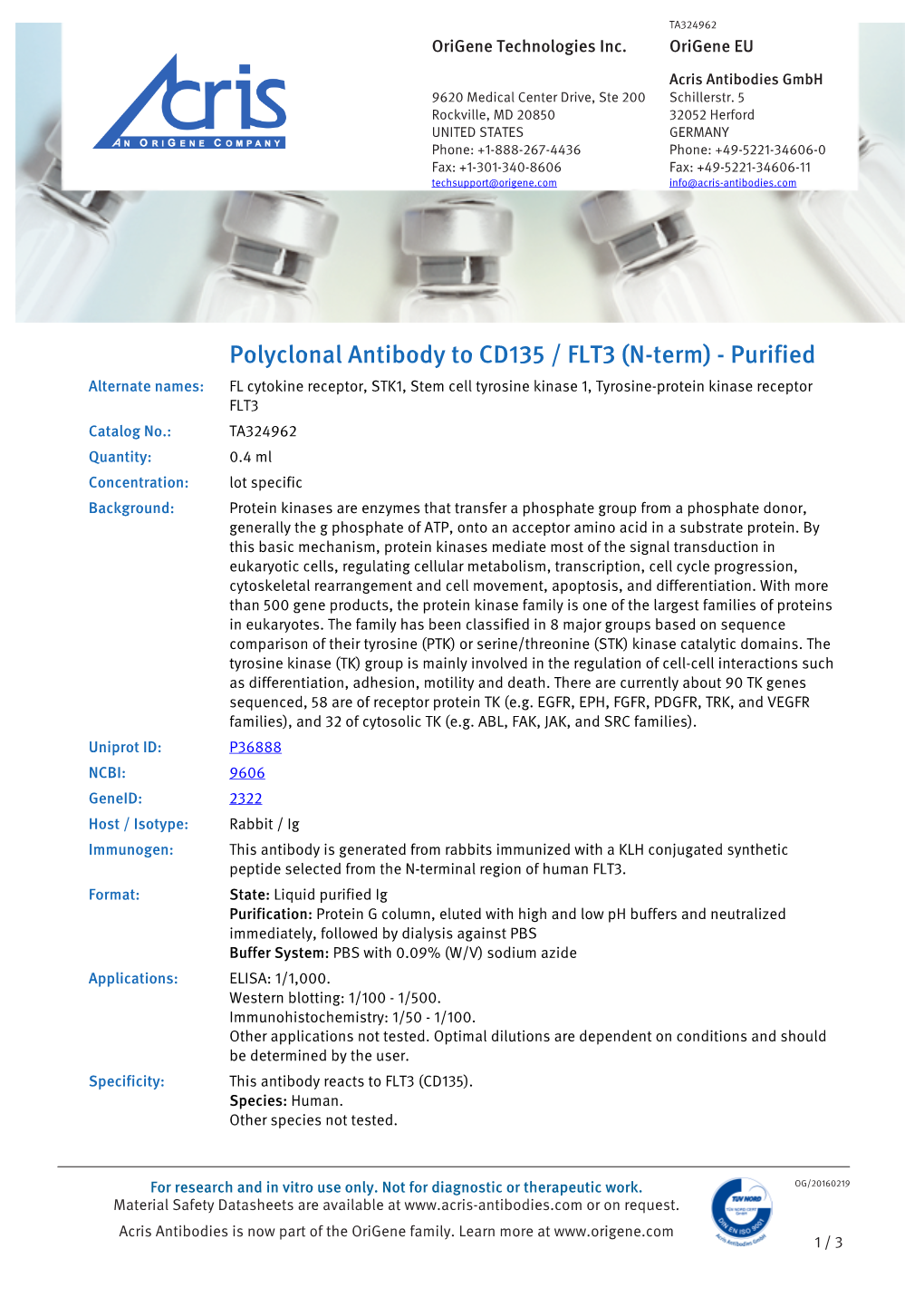 Polyclonal Antibody to CD135 / FLT3 (N-Term