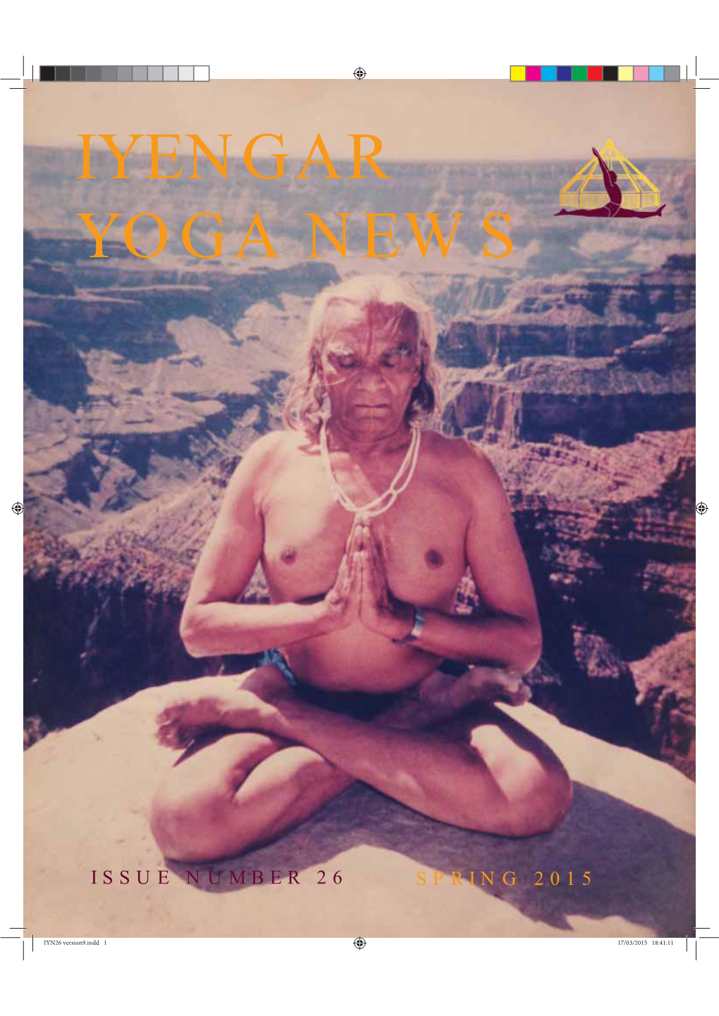 BKS Iyengar's Ingenious Use of Props