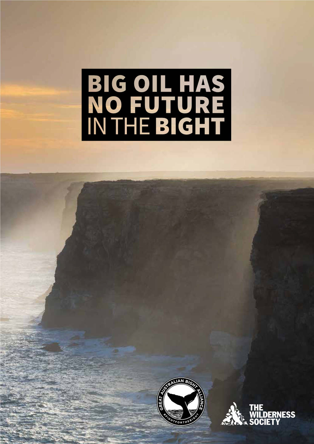 The Great Australian Bight