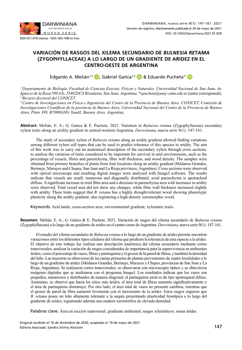 Variación De Rasgos Del Xilema Secundario De Bulnesia Retama (Zygophyllaceae) a Lo Largo De Un Gradiente De Aridez En El Centro-Oeste De Argentina