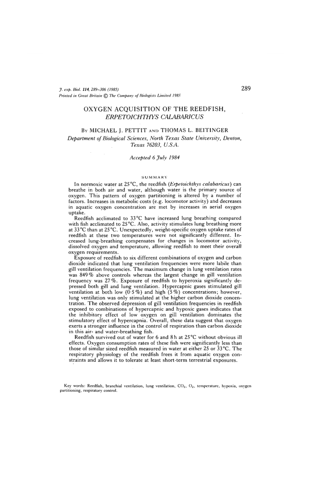 Oxygen Acquisition of the Reedfish, Erpetoichthys Calabaricus