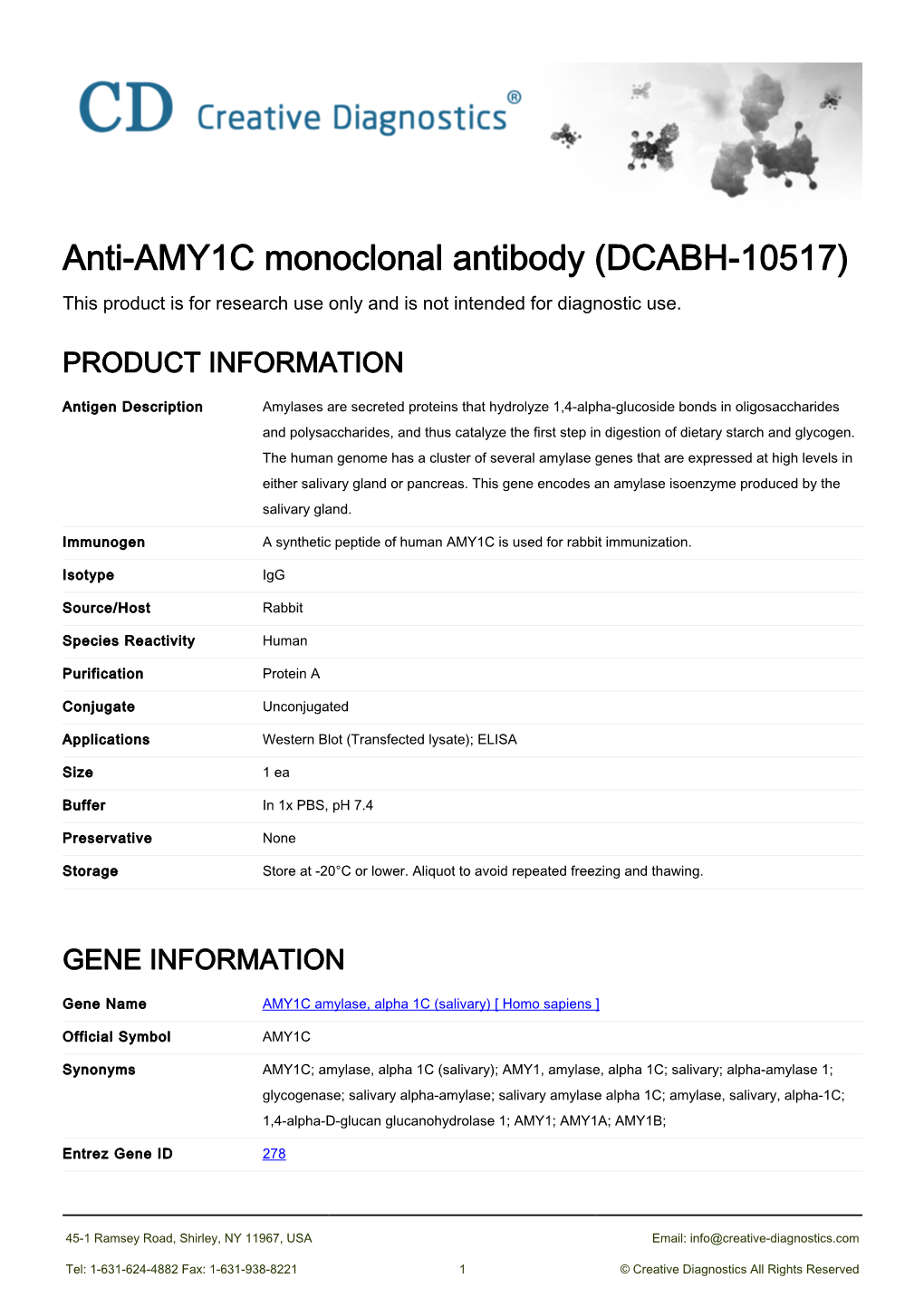 Anti-AMY1C Monoclonal Antibody (DCABH-10517) This Product Is for Research Use Only and Is Not Intended for Diagnostic Use