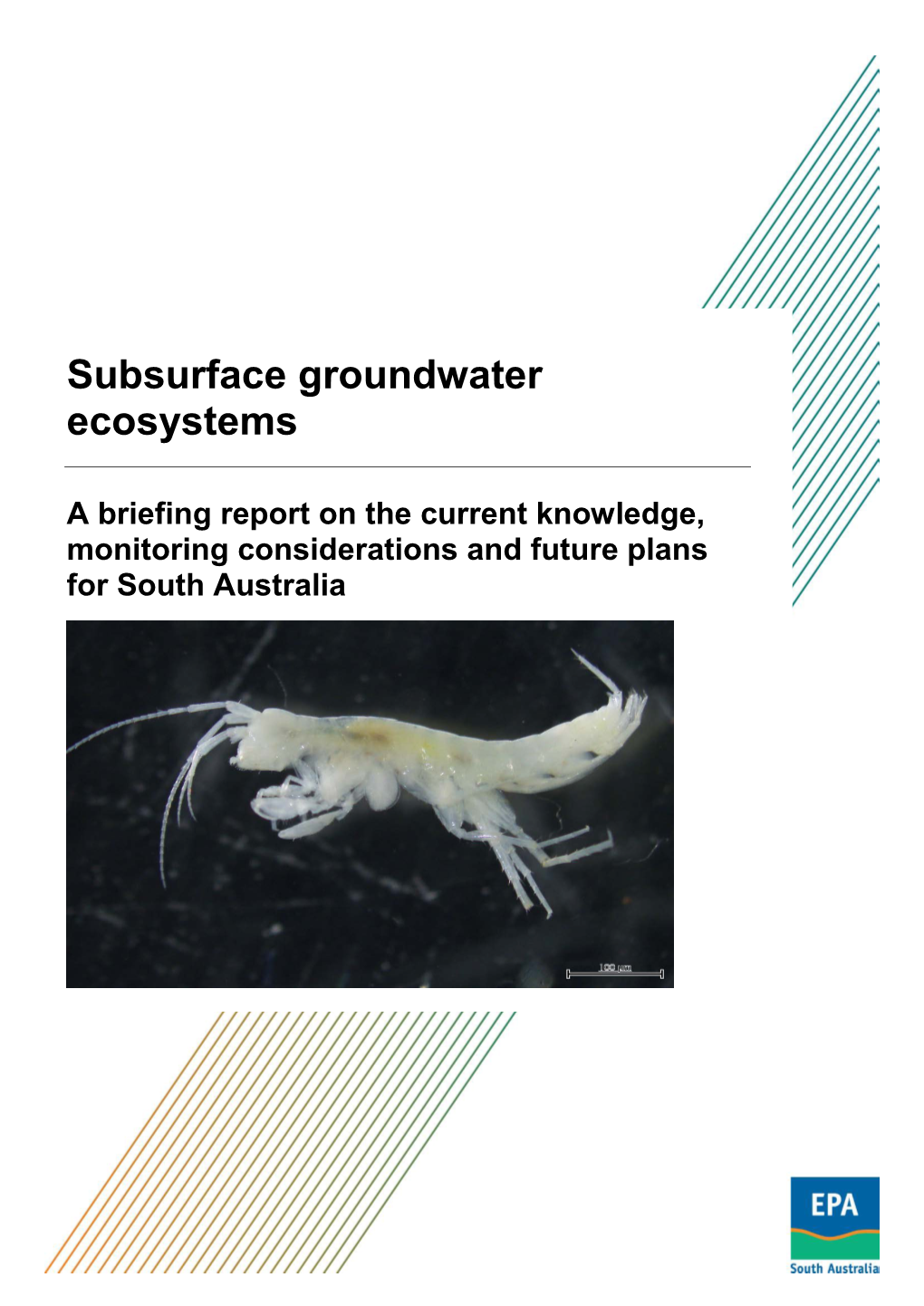 Report on Subsurface Groundwater Ecosystems