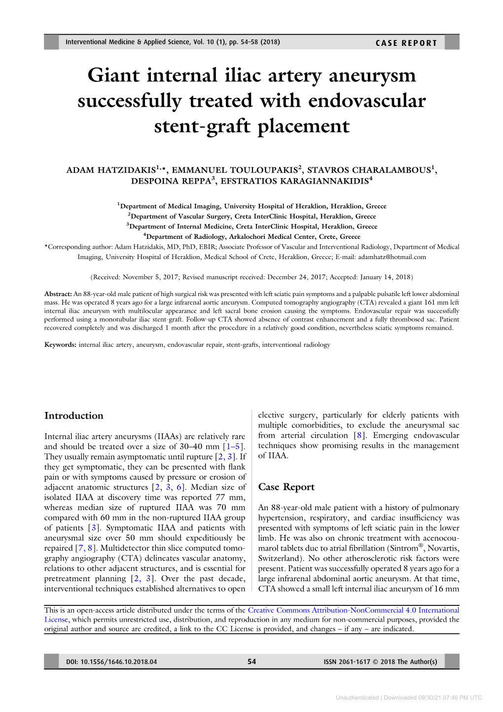 Giant Internal Iliac Artery Aneurysm Successfully Treated with Endovascular Stent-Graft Placement