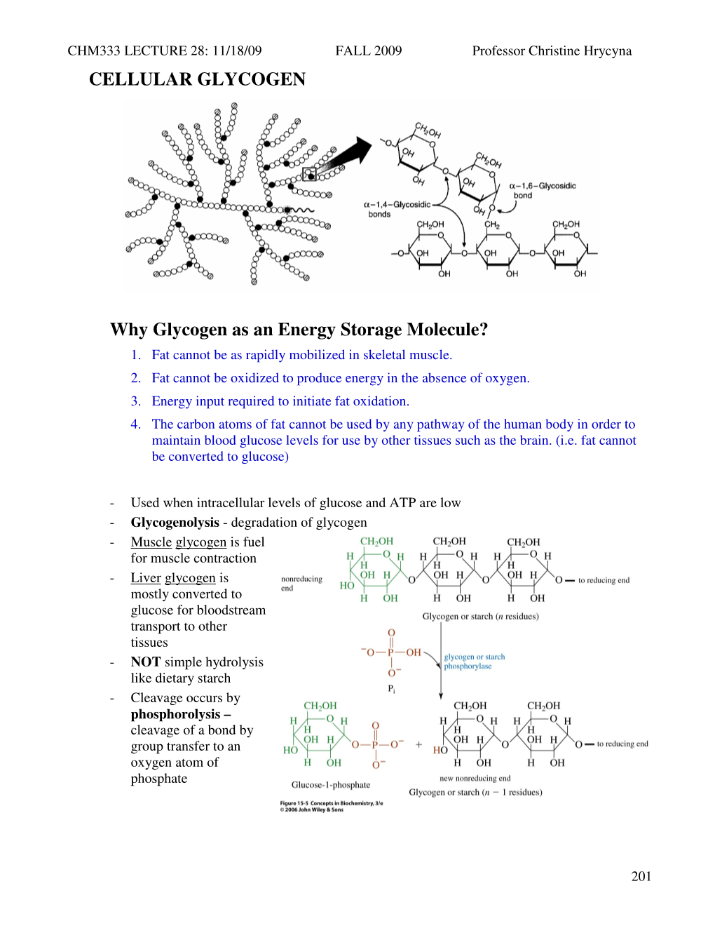 CELLULAR GLYCOGEN Why Glycogen As an Energy Storage