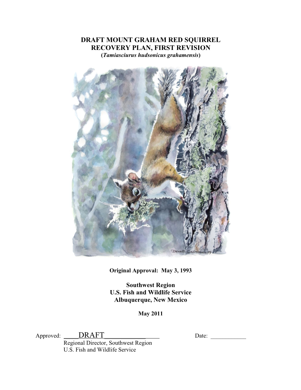 DRAFT MOUNT GRAHAM RED SQUIRREL RECOVERY PLAN, FIRST REVISION (Tamiasciurus Hudsonicus Grahamensis)