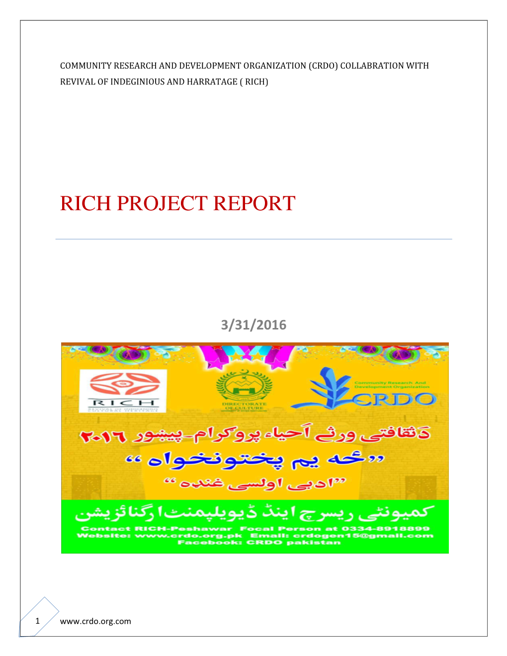Rich Project Report