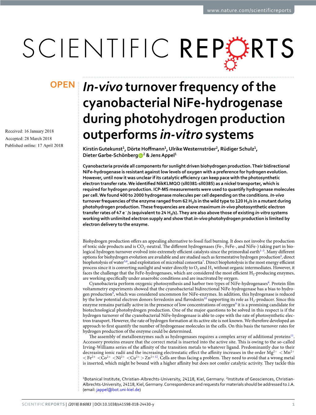 In-Vivo Turnover Frequency of the Cyanobacterial Nife-Hydrogenase
