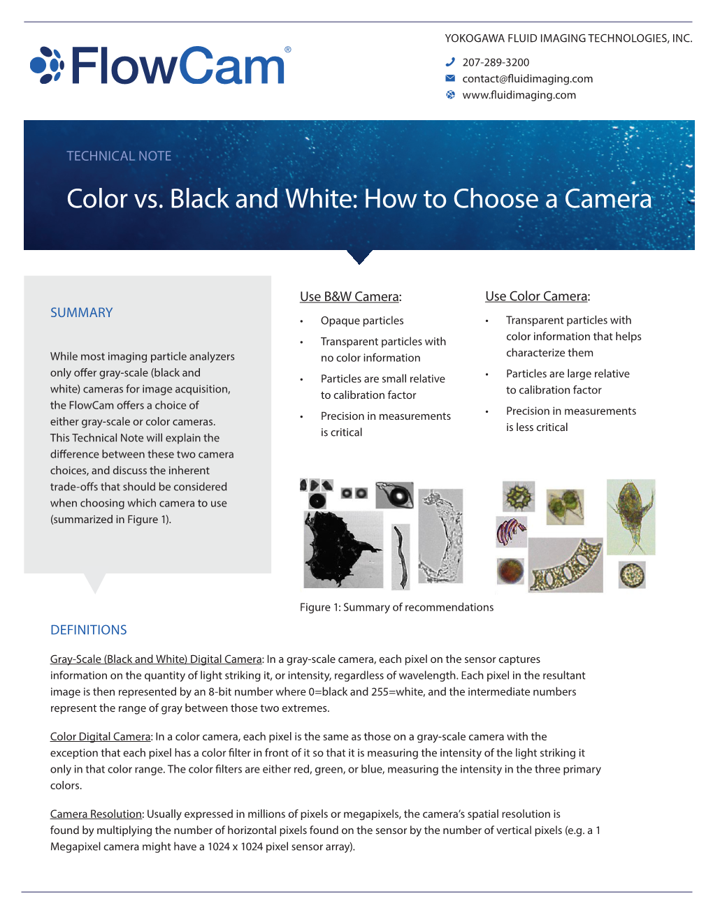 Color Vs. Black and White: How to Choose a Camera