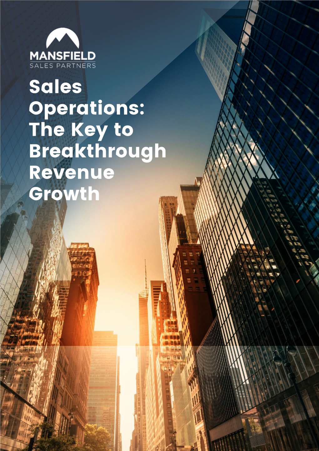 Sales Operations: the Key to Breakthrough Revenue Growth the Sales Operations Secret