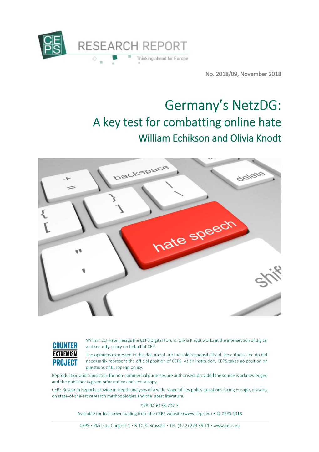 Germany's Netzdg