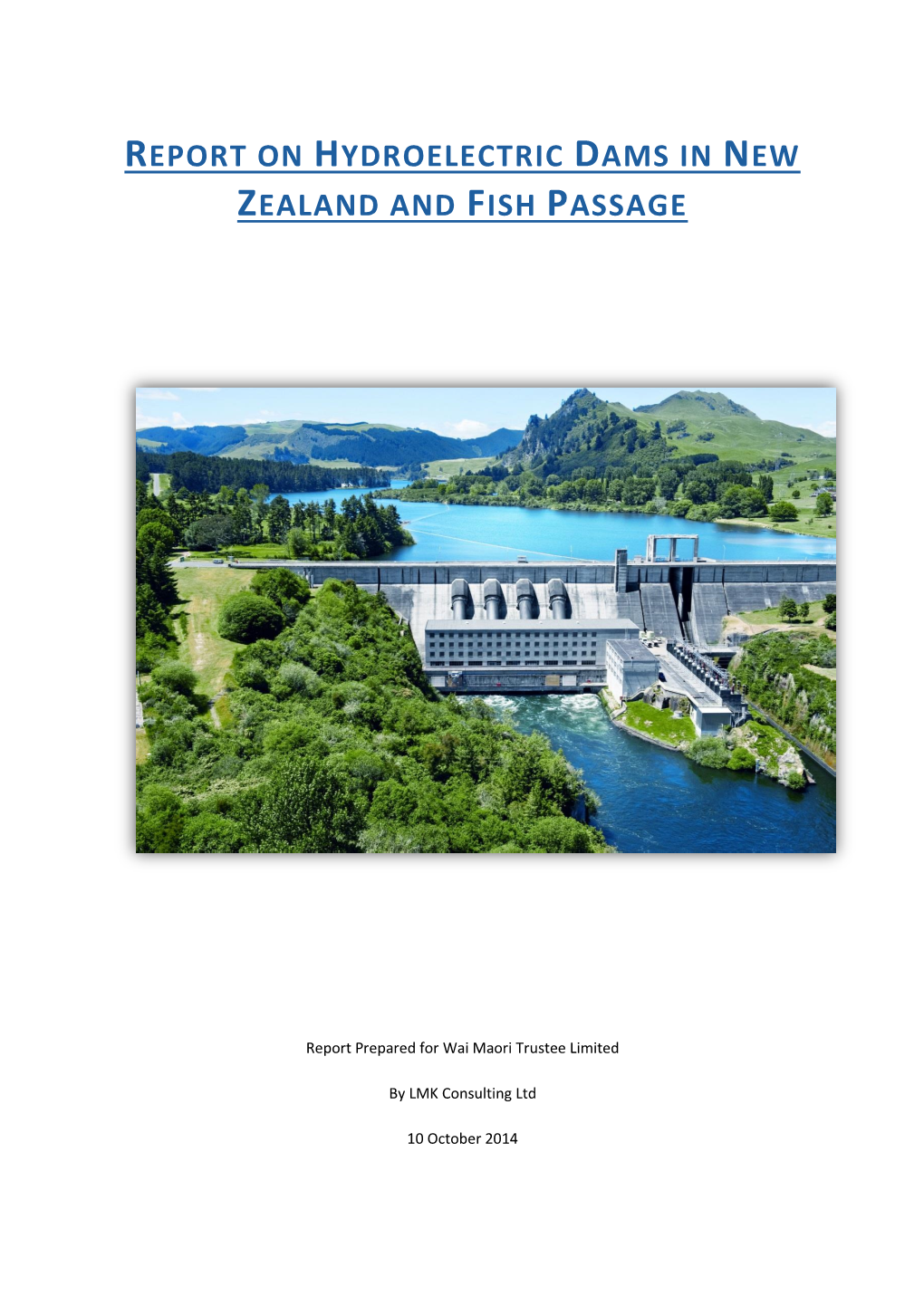 Report on Hydroelectric Dams in New Zealand and Fish Passage