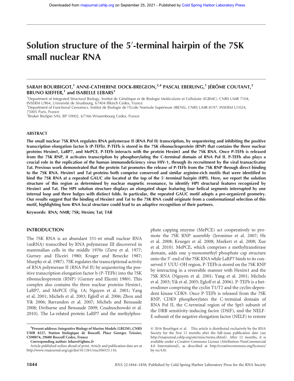 Solution Structure of the 5′-Terminal Hairpin of the 7SK Small Nuclear RNA