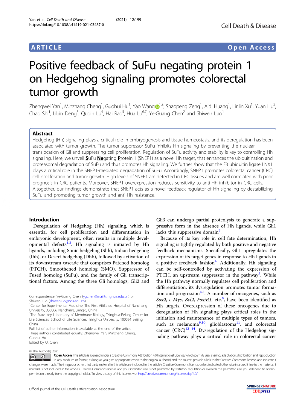 Positive Feedback of Sufu Negating Protein 1 on Hedgehog Signaling