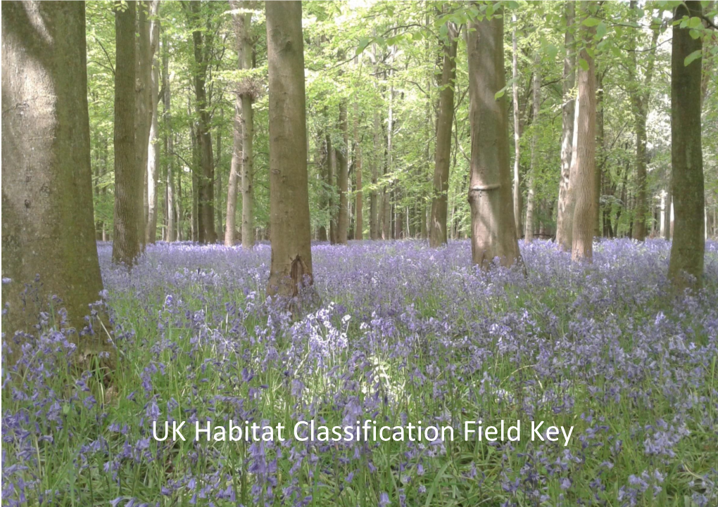 UK Habitat Classification Field Key