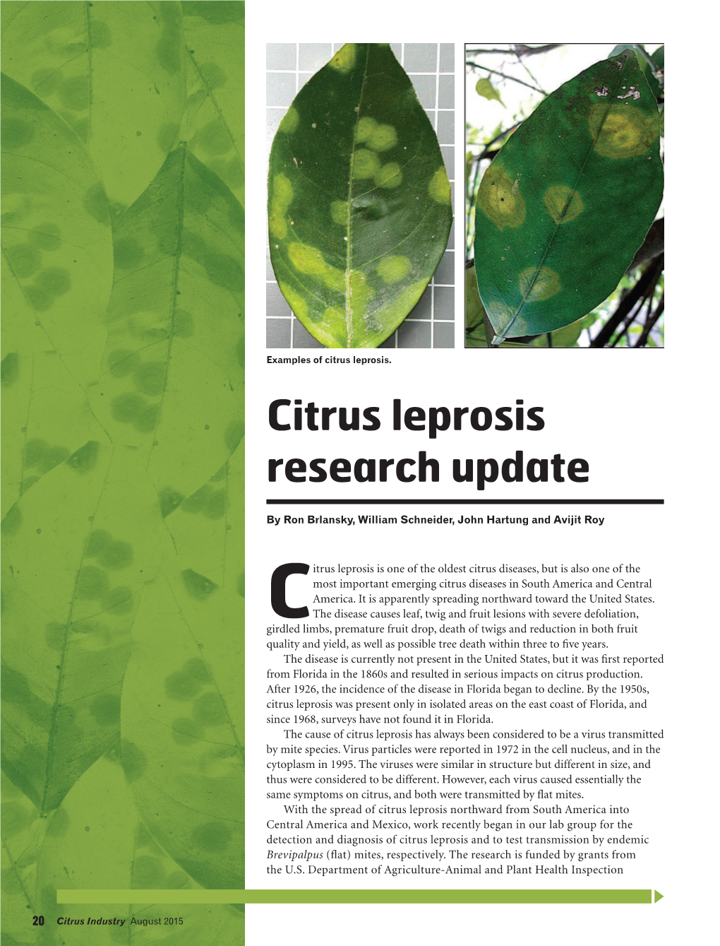 Citrus Leprosis Research Update