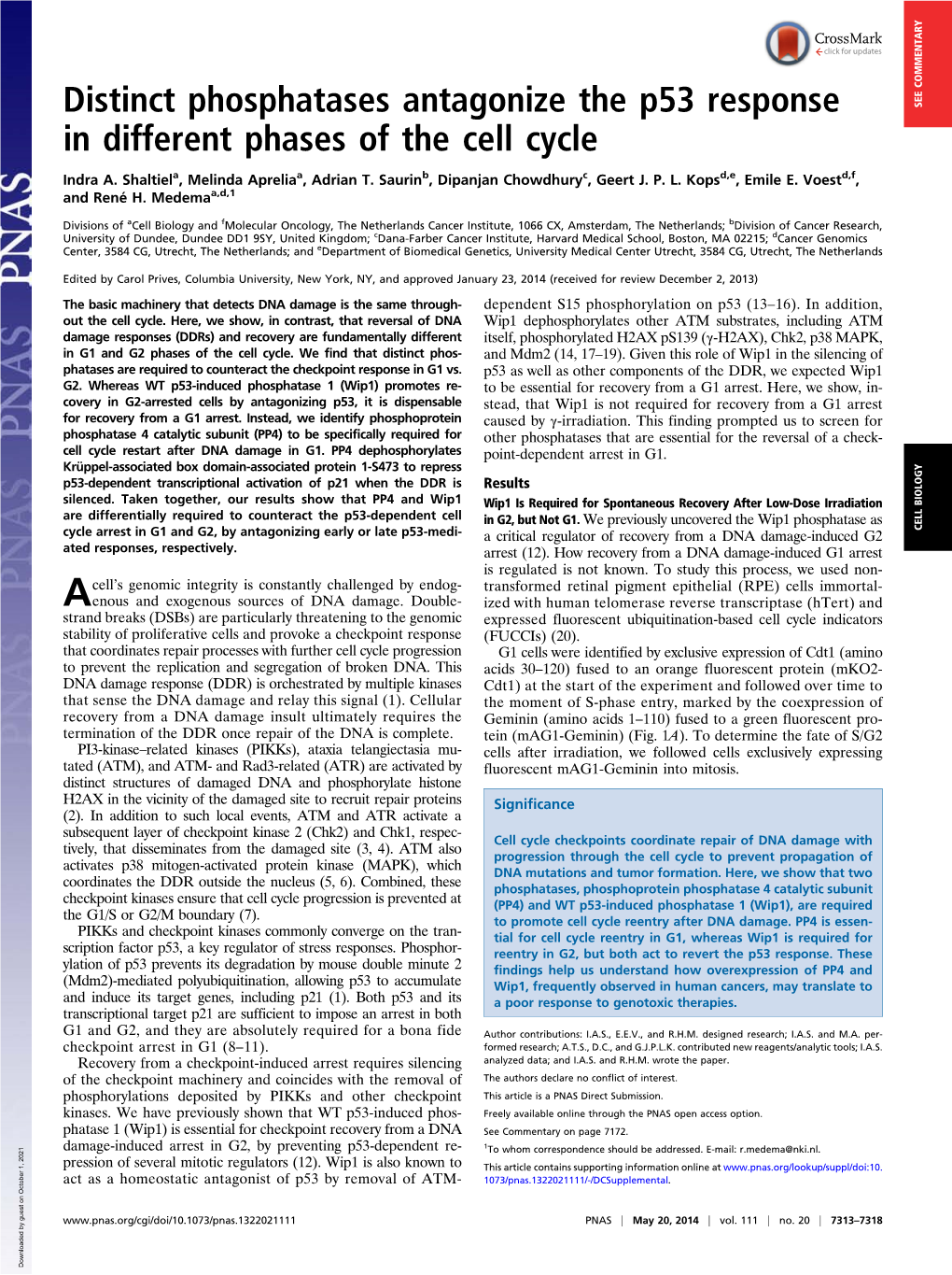 Distinct Phosphatases Antagonize the P53 Response in Different Phases Of