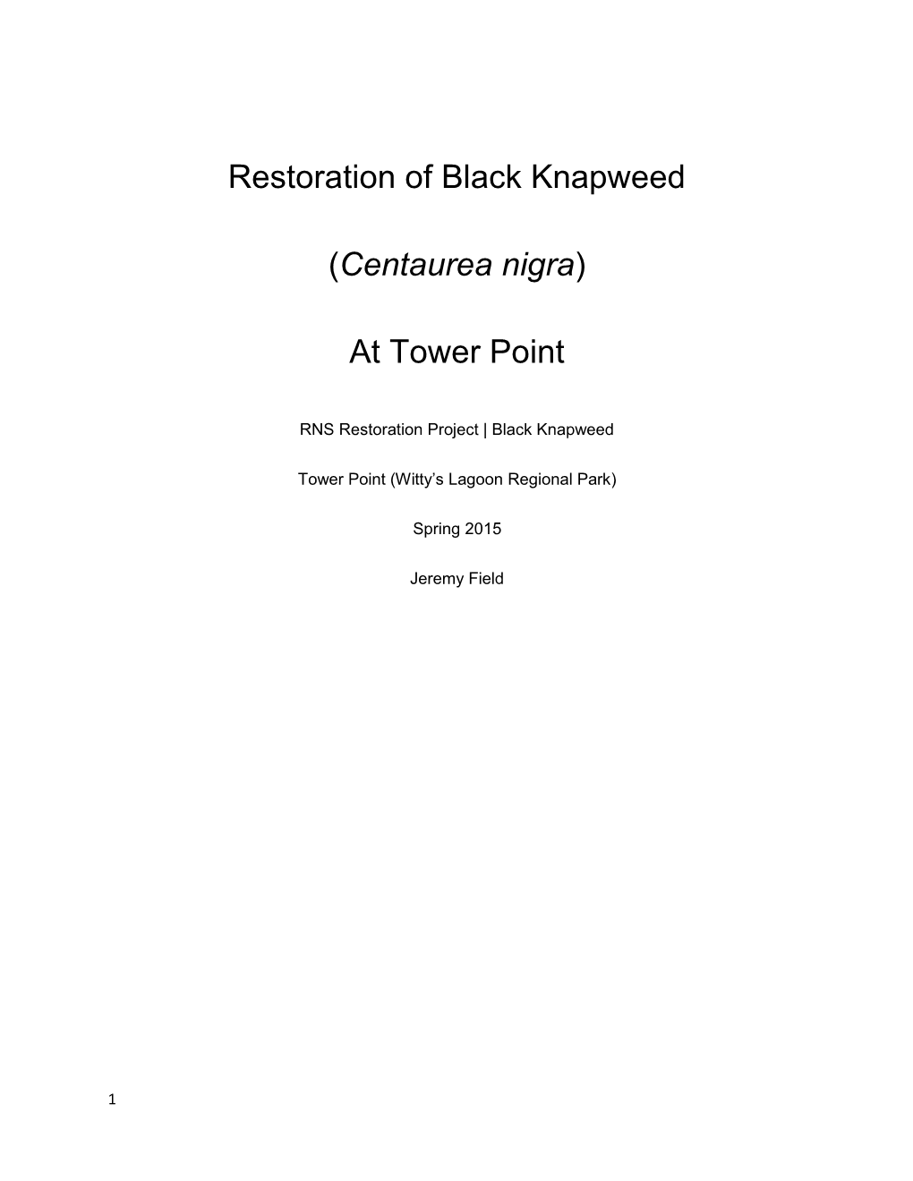 Restoration of Black Knapweed (Centaurea Nigra) at Tower Point