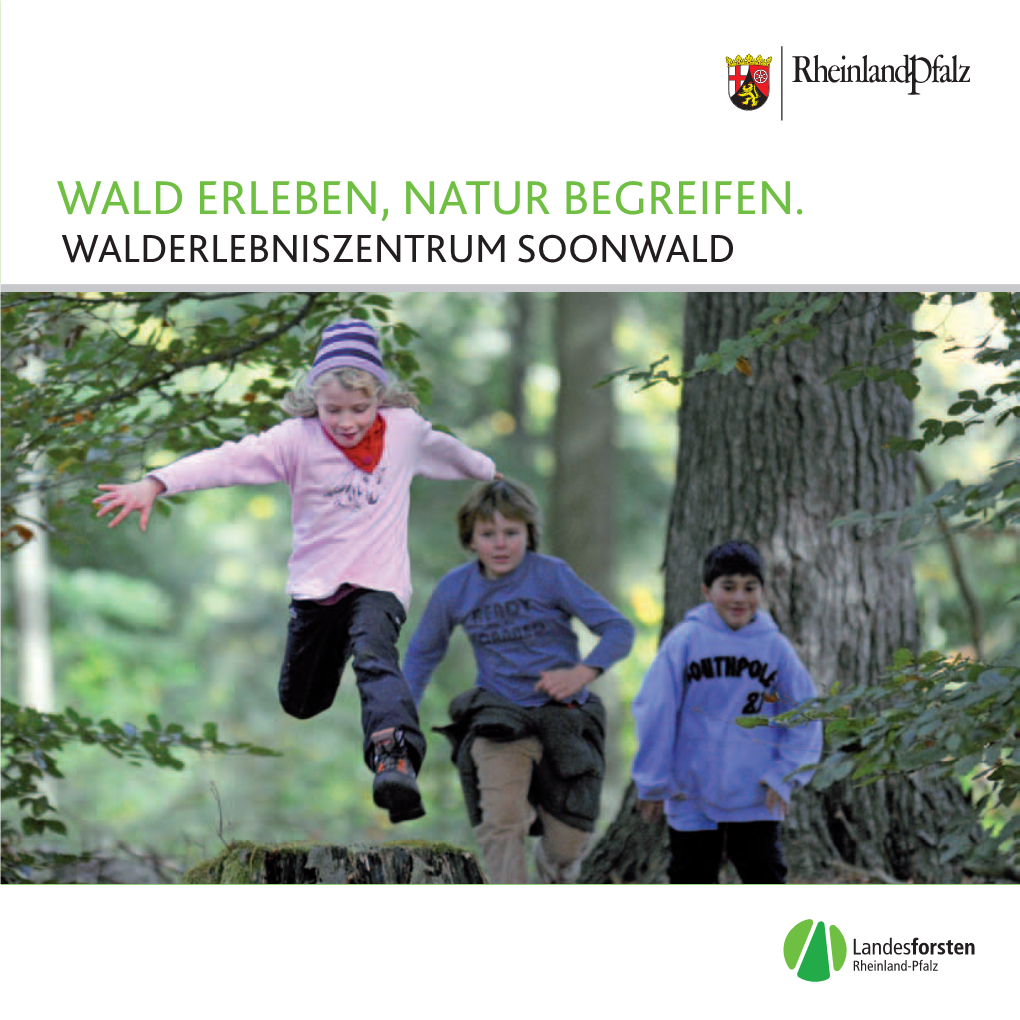 Wald Erleben, Natur Begreifen. Der Weg Zu Uns Walderlebniszentrum Soonwald