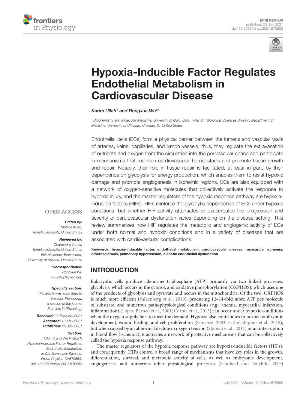 Hypoxia-Inducible Factor Regulates Endothelial Metabolism in Cardiovascular Disease