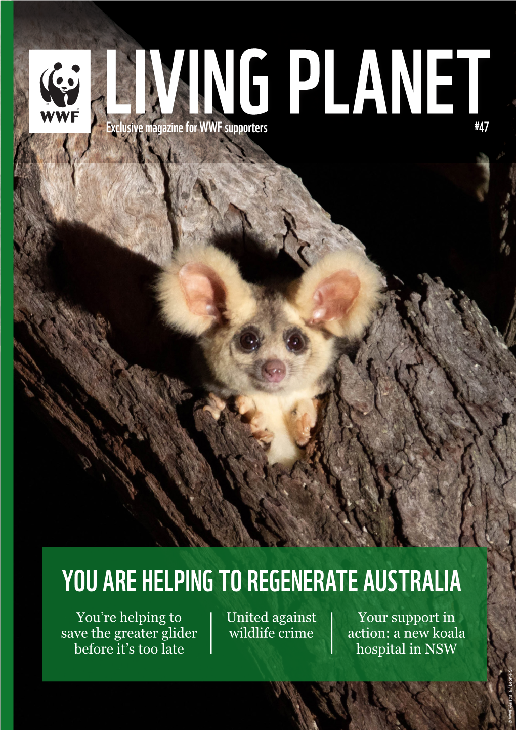 You Are Helping to Regenerate Australia