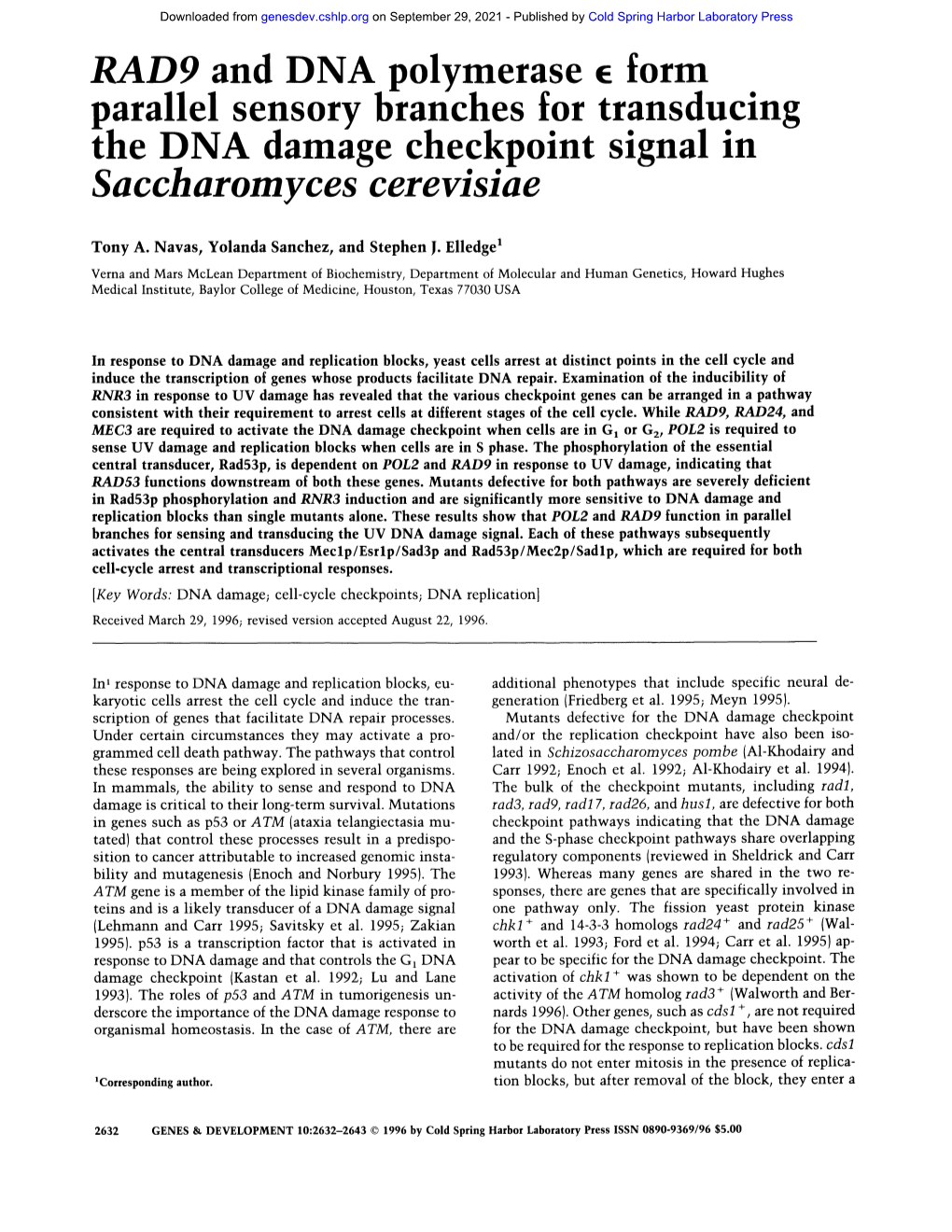 RAD9 and DNA Polymerase E Form Parallel Sensory Branches for Transducing the DNA Damage Checkpoint Signal in Saccharomyces Cerevisiae