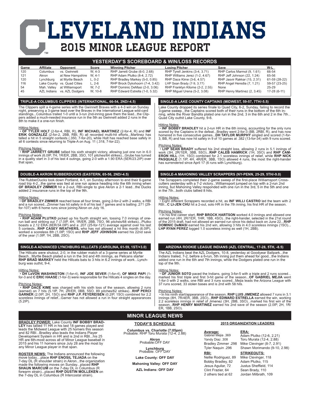 Leveland Indians 2015 Minor League Report