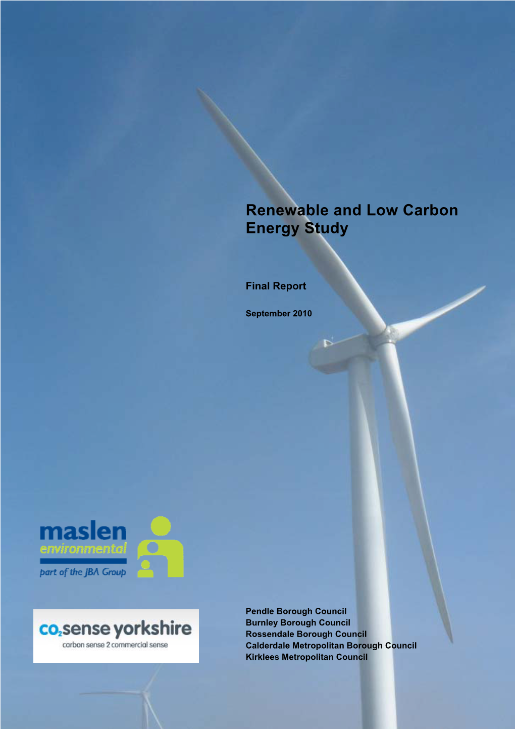 Renewable and Low Carbon Energy Study