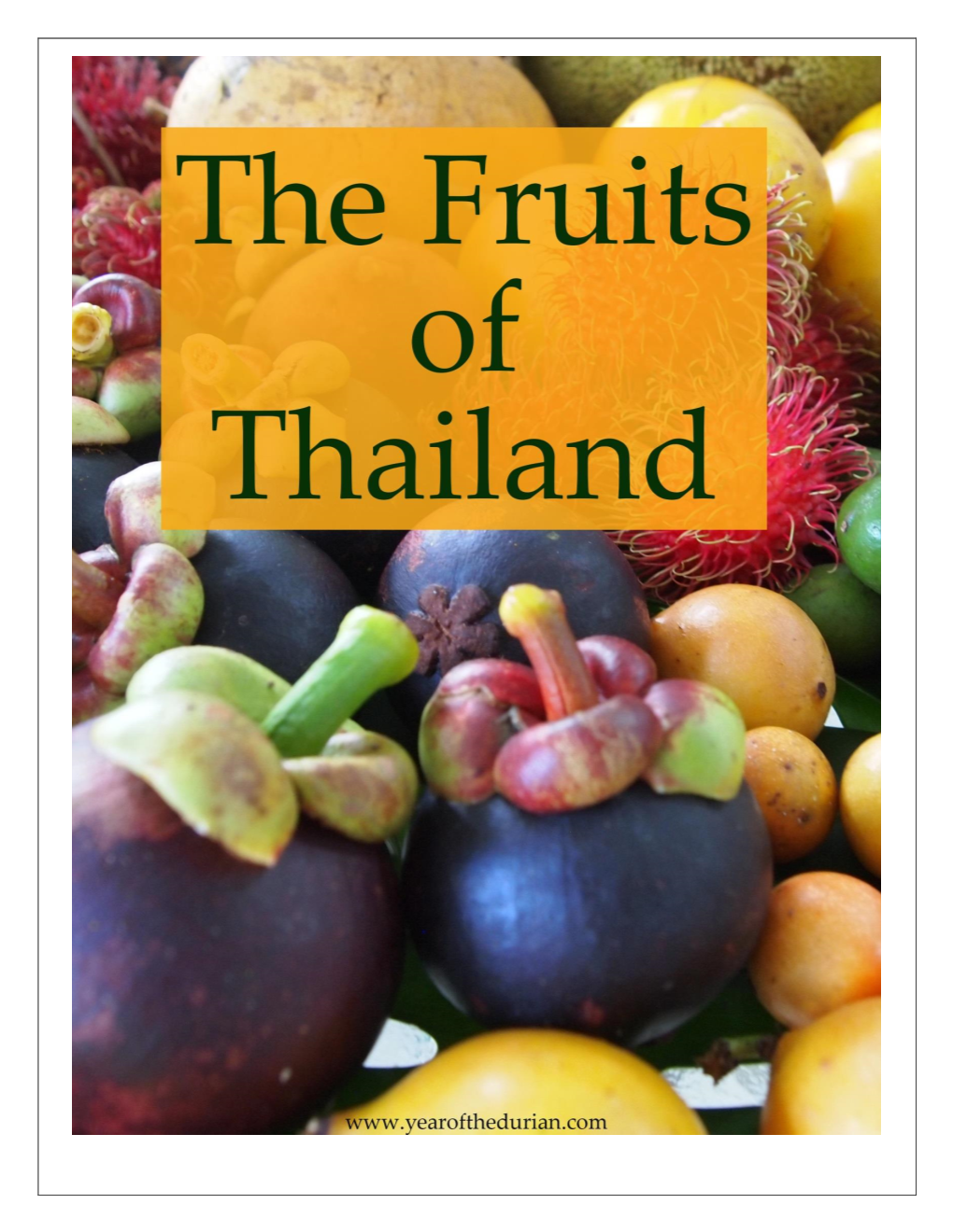 The Fruits of Thailand