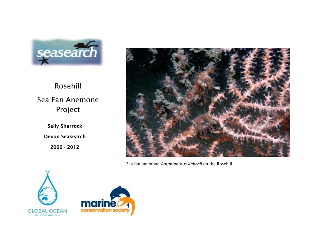 Rosehill Sea Fan Anemone Project