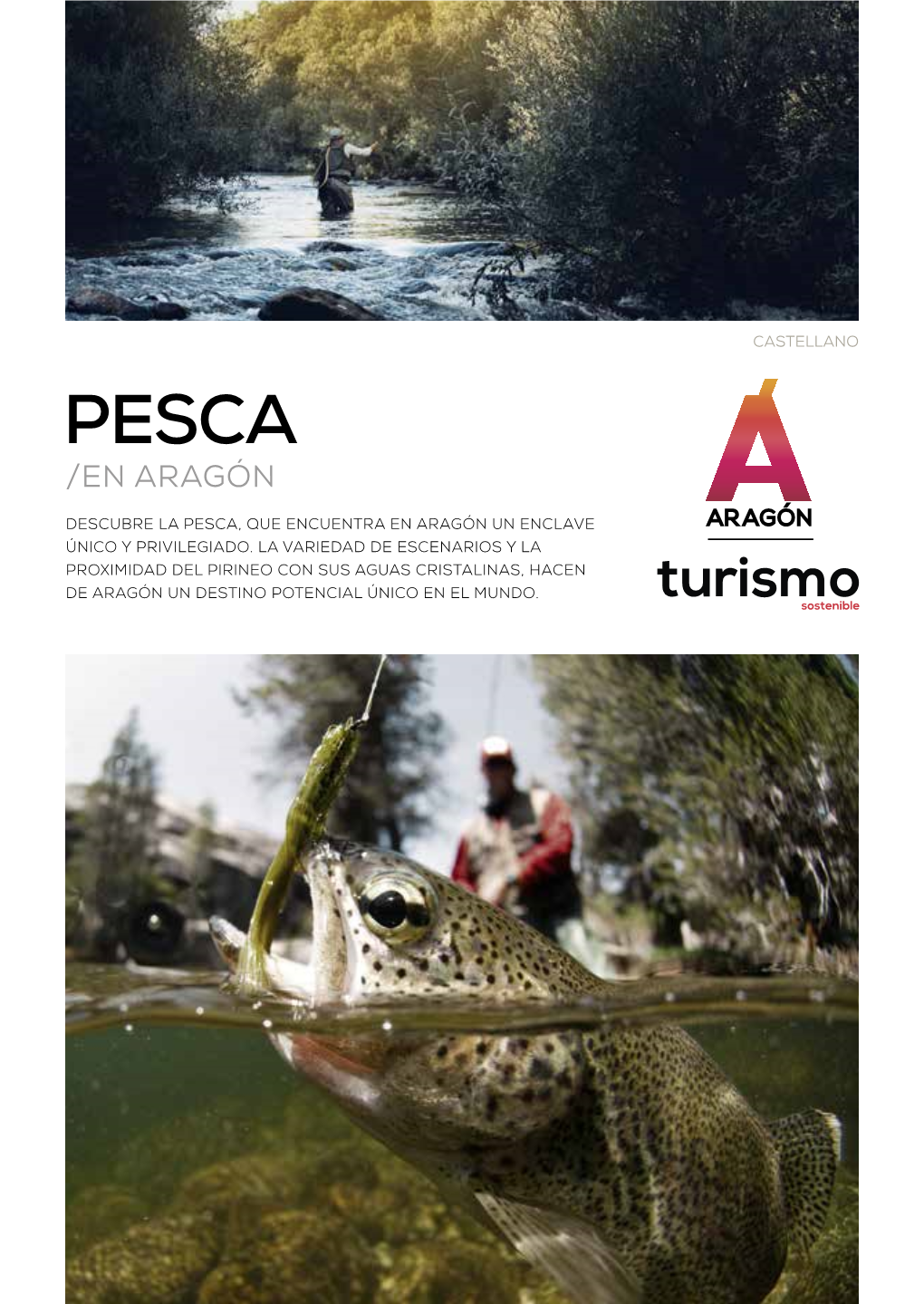 Pesca En Aragón 1