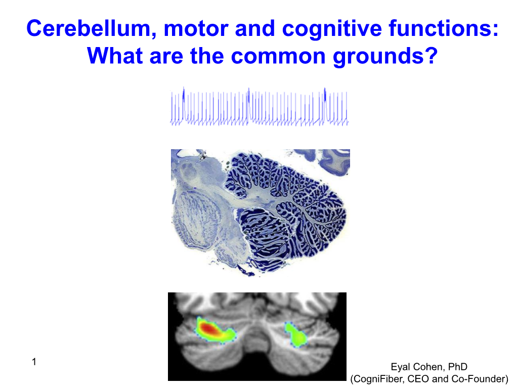 Cerebellum, Motor and Cognitive Functions: What Are the Common Grounds?