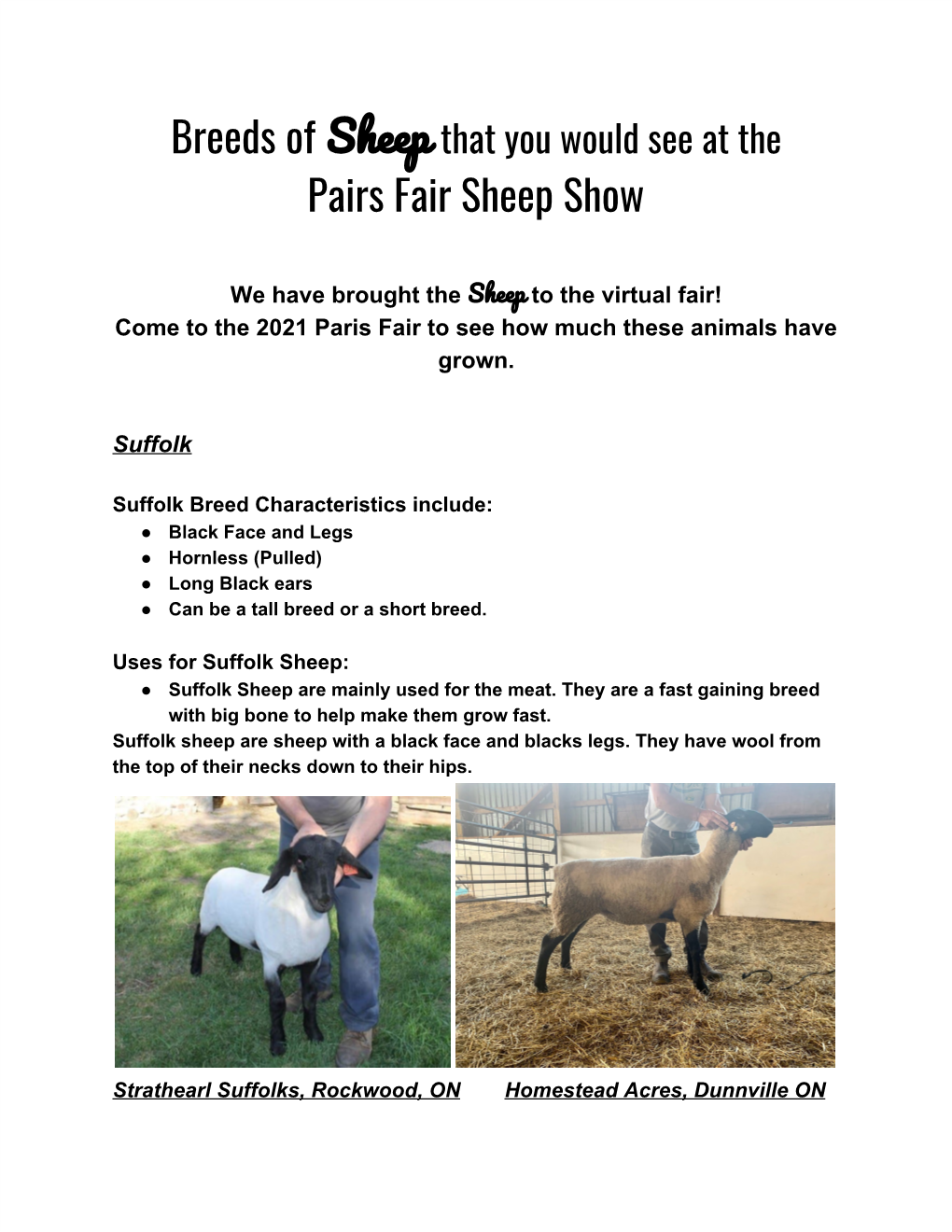 Pairs Fair Sheep Show